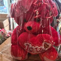 Red Teddy 22in High  x 16 in m wide 