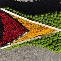 Guyana flag 